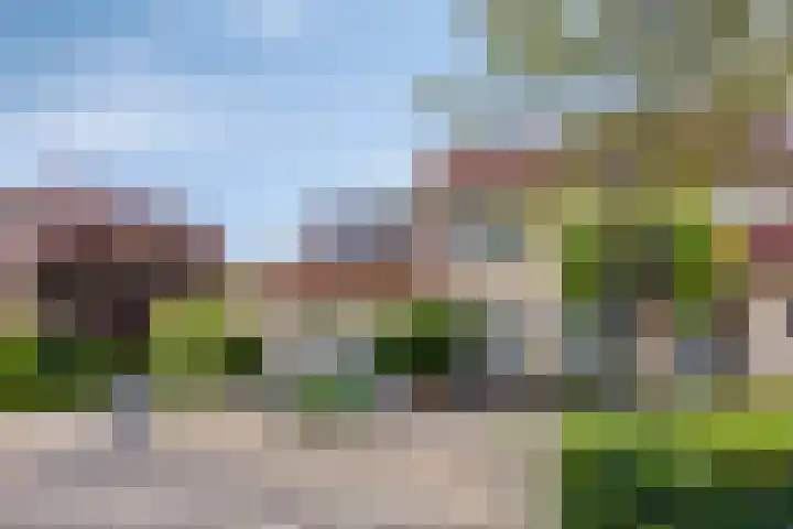 Duizendblad 19 Haaksbergen thumbnail 4