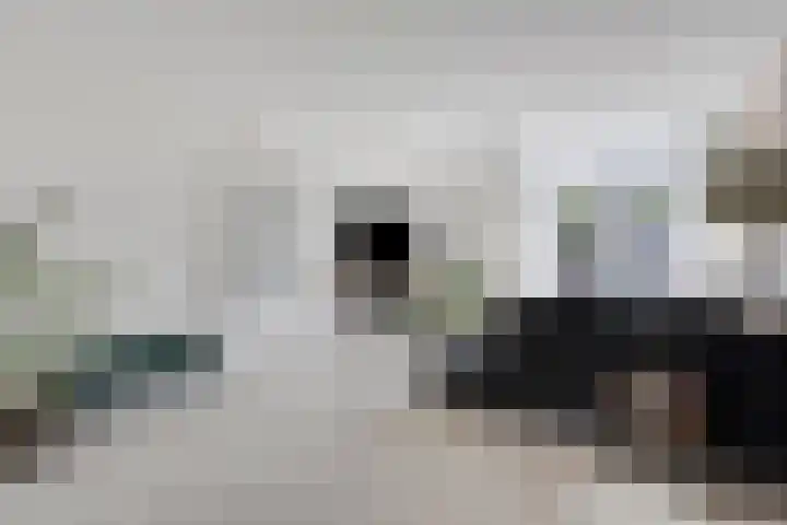 Duizendblad 19 Haaksbergen thumbnail 9