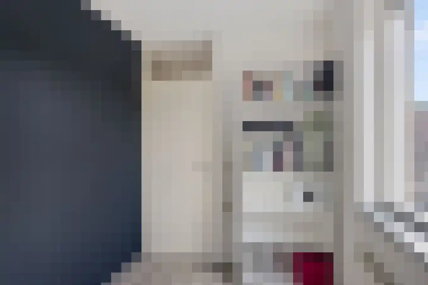 Duizendblad 2 Haaksbergen thumbnail 14
