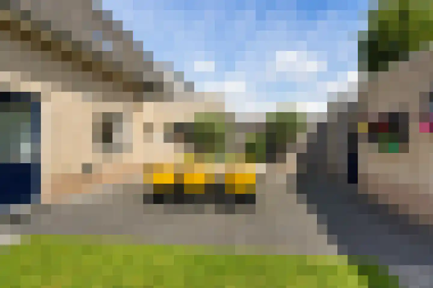 Duizendblad 2 Haaksbergen thumbnail 26