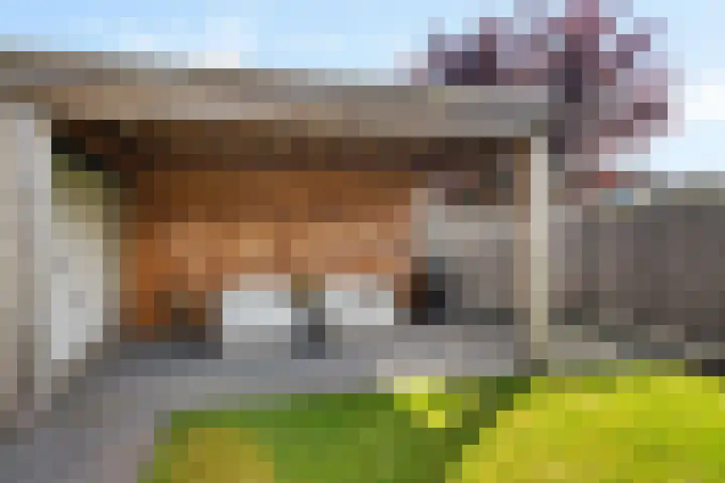 Duizendblad 2 Haaksbergen thumbnail 27