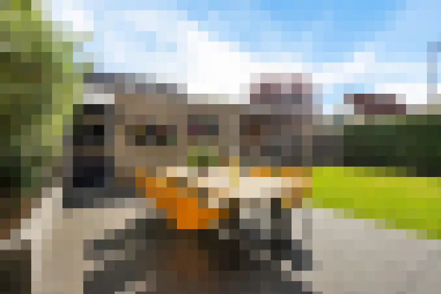 Duizendblad 2 Haaksbergen thumbnail 4