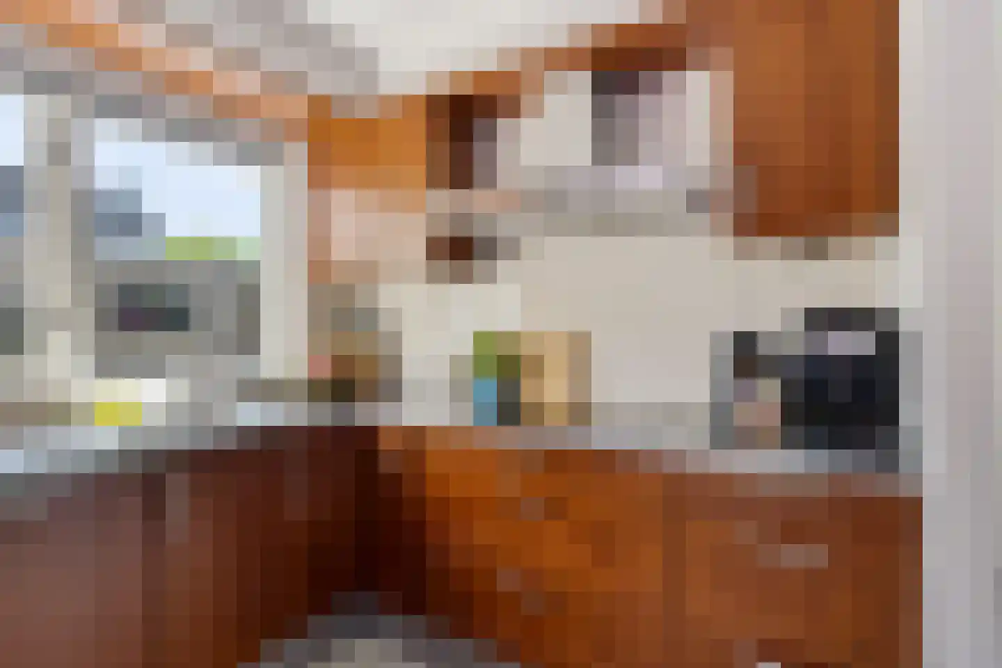 Duizendblad 2 Haaksbergen thumbnail 7