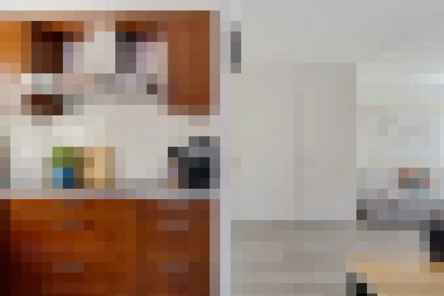 Duizendblad 2 Haaksbergen thumbnail 8