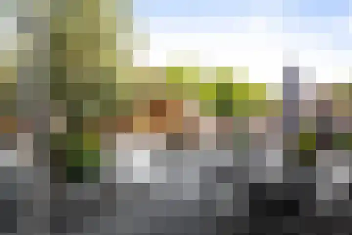 Duizendblad 21 Deventer thumbnail 25