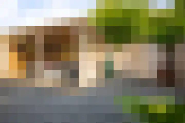Duizendblad 21 Deventer thumbnail 27