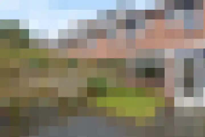 Duizendblad 22 Culemborg thumbnail 17