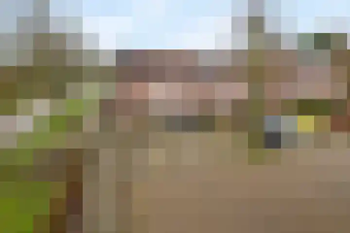 Duizendblad 22 Culemborg thumbnail 21