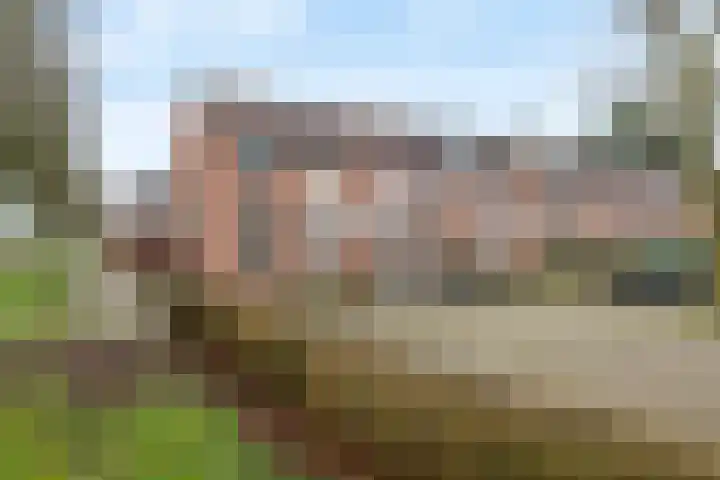 Duizendblad 22 Culemborg thumbnail 39