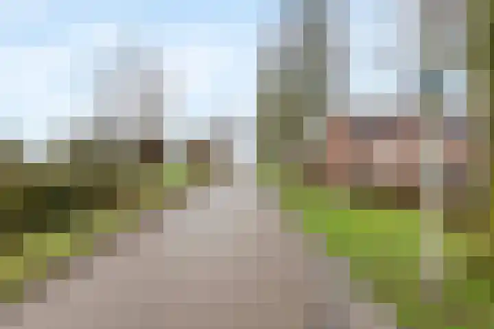 Duizendblad 22 Culemborg thumbnail 40