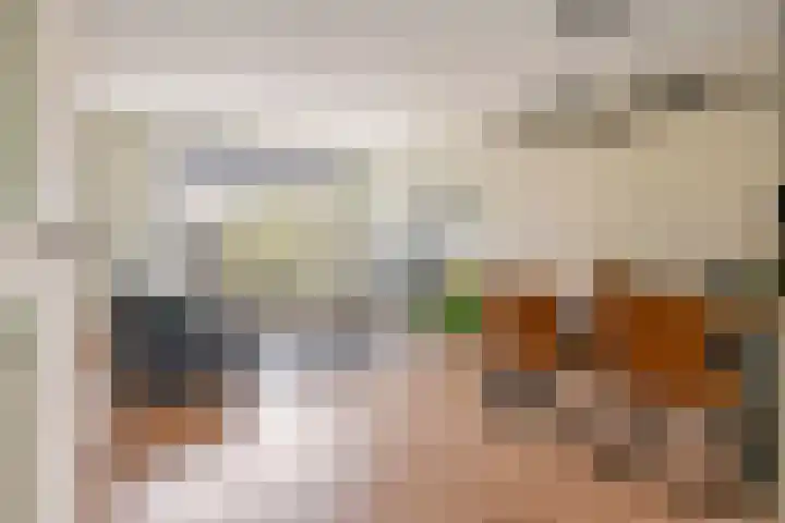 Duizendblad 22 Culemborg thumbnail 6