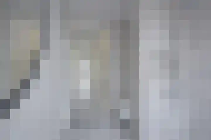 Duizendblad 26 Nieuwkoop thumbnail 17