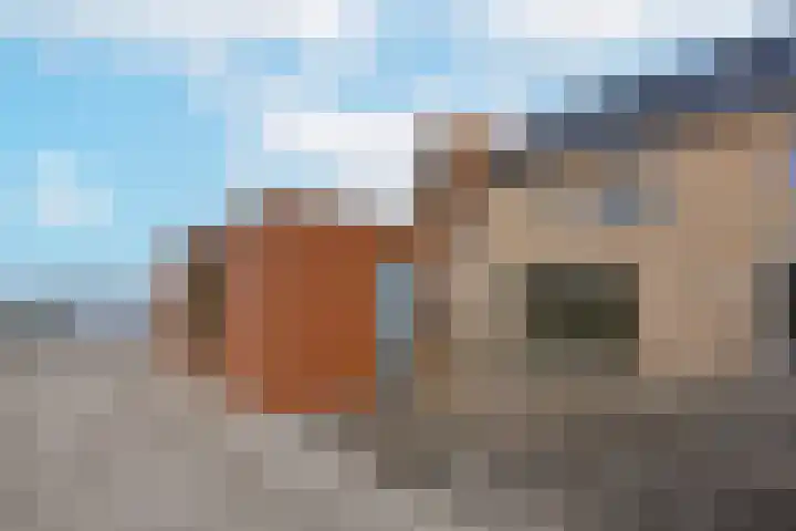 Duizendblad 26 Nieuwkoop thumbnail 4