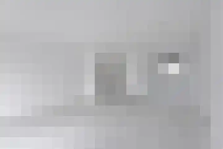 Duizendblad 26 Nieuwkoop thumbnail 5
