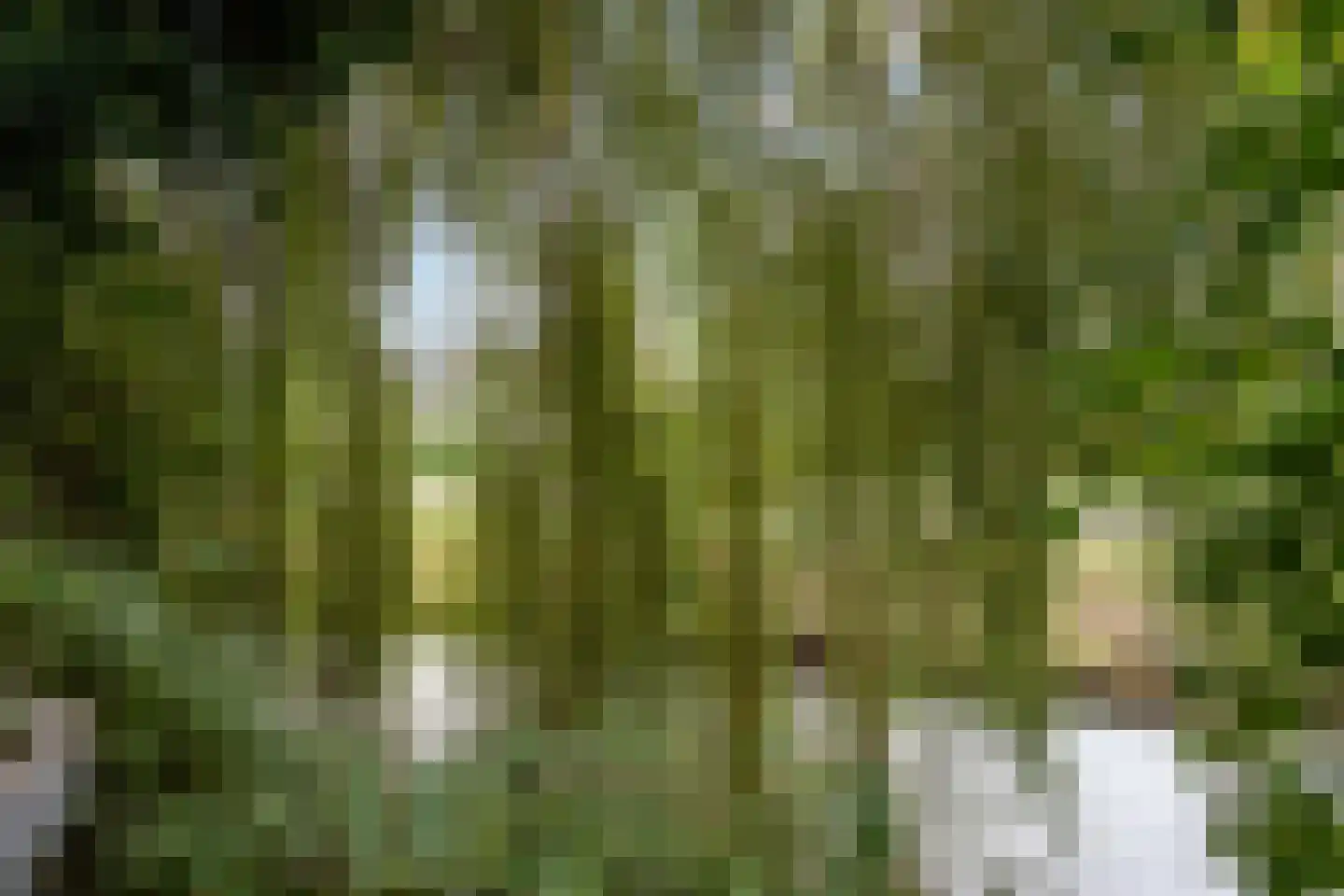 Duizendblad 29 IJsselstein thumbnail 29