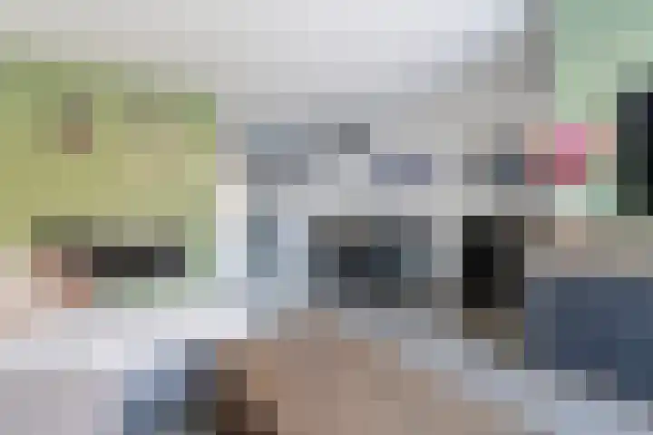 Duizendblad 3 Sneek thumbnail 10