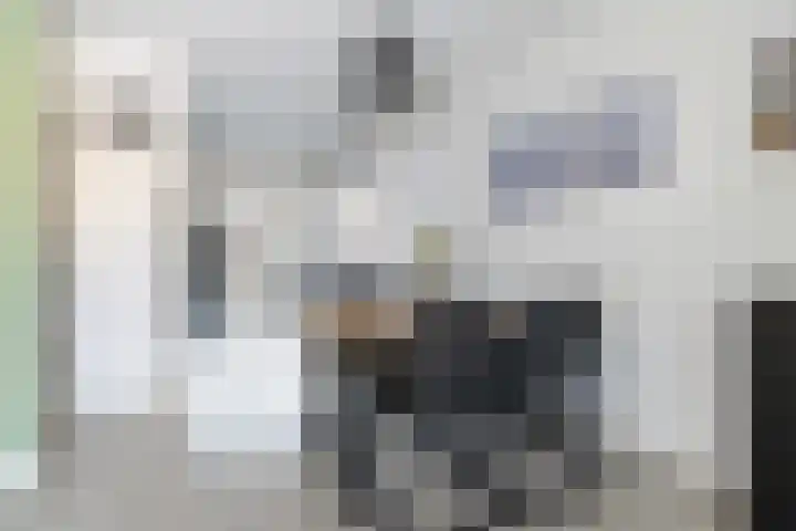 Duizendblad 3 Sneek thumbnail 11