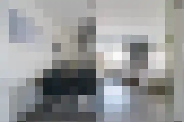 Duizendblad 3 Sneek thumbnail 13