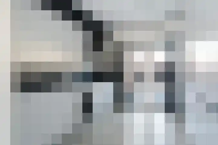 Duizendblad 3 Sneek thumbnail 15