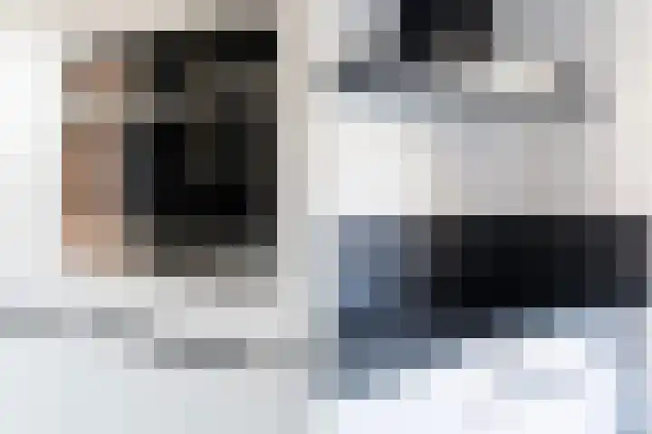 Duizendblad 3 Sneek thumbnail 17