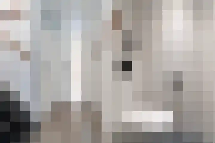 Duizendblad 3 Sneek thumbnail 19
