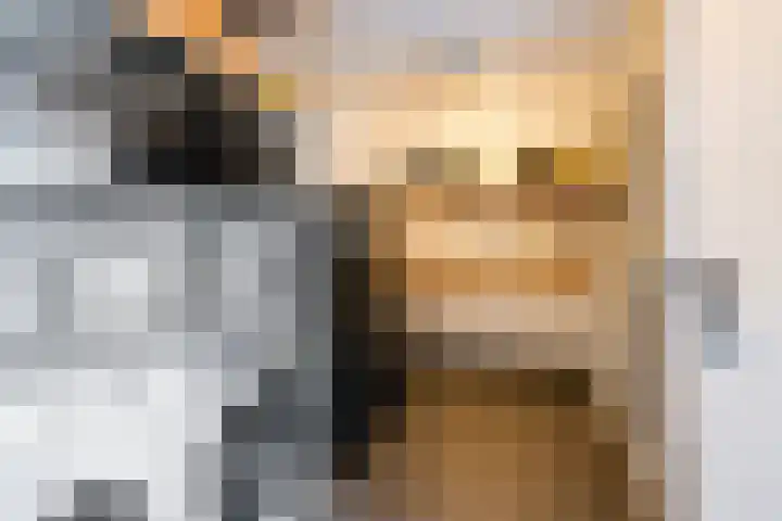 Duizendblad 3 Sneek thumbnail 20