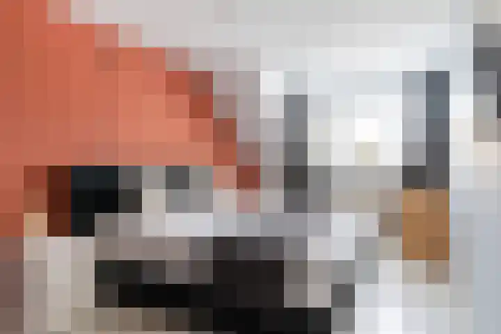 Duizendblad 3 Sneek thumbnail 22