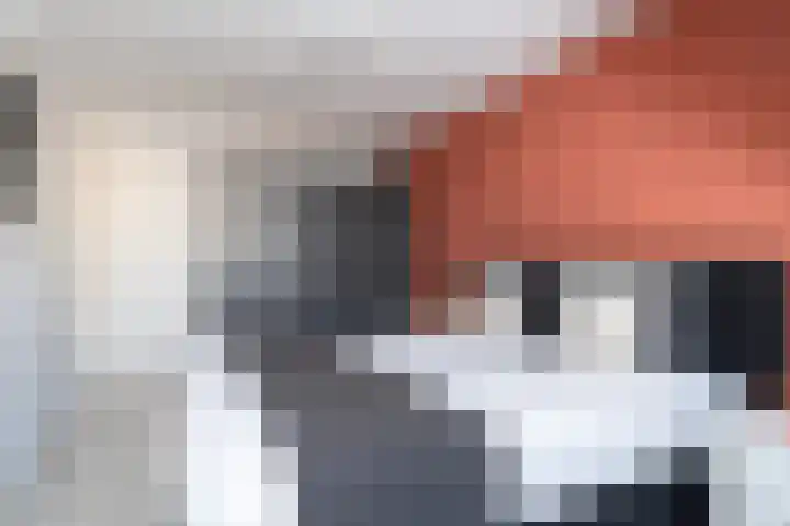Duizendblad 3 Sneek thumbnail 23