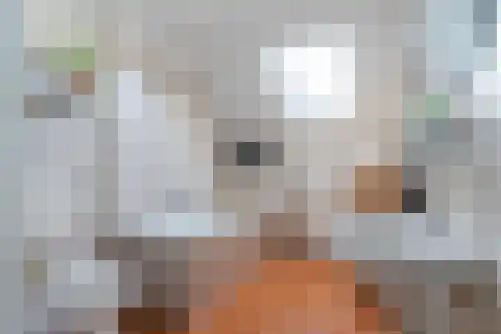 Duizendblad 3 Sneek thumbnail 24