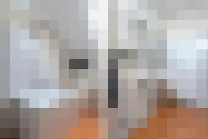 Duizendblad 3 Sneek thumbnail 25