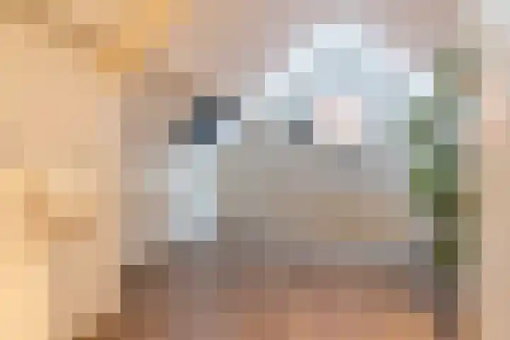 Duizendblad 3 Sneek thumbnail 28