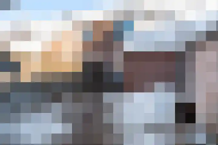 Duizendblad 3 Sneek thumbnail 32
