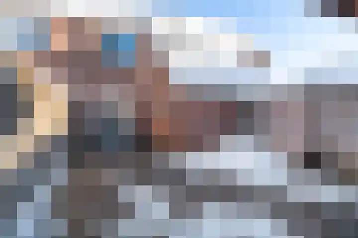 Duizendblad 3 Sneek thumbnail 33