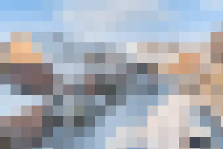 Duizendblad 3 Sneek thumbnail 37