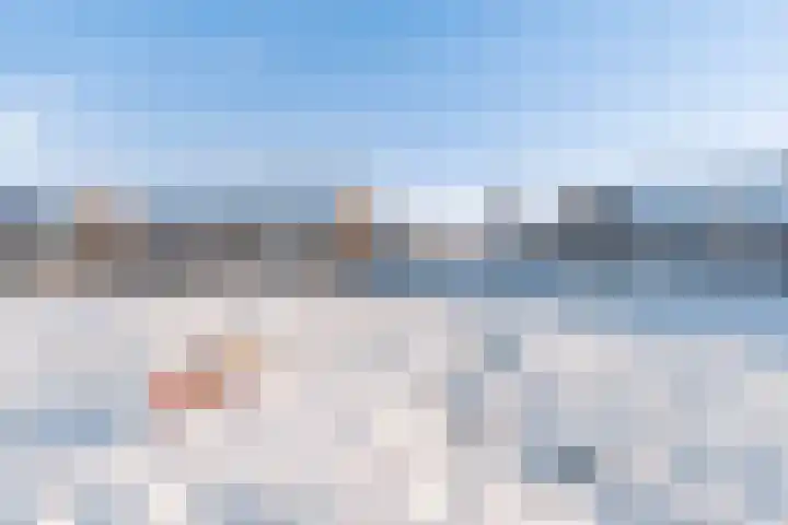 Duizendblad 3 Sneek thumbnail 42