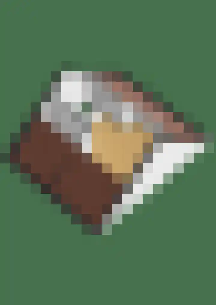Duizendblad 3 Sneek thumbnail 49