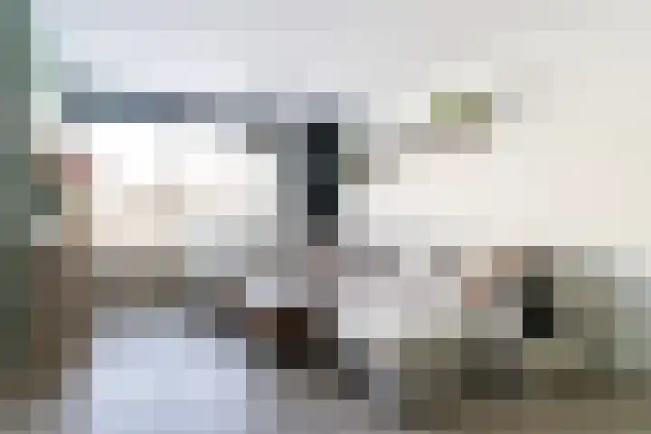 Duizendblad 3 Sneek thumbnail 7