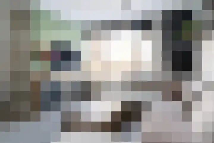 Duizendblad 3 Sneek thumbnail 8