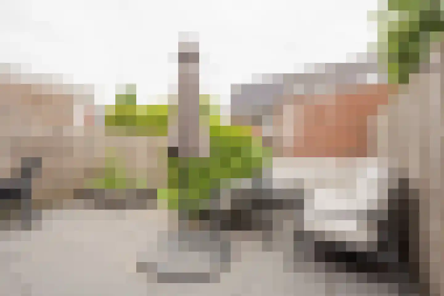 Duizendblad 3 Voorthuizen thumbnail 10