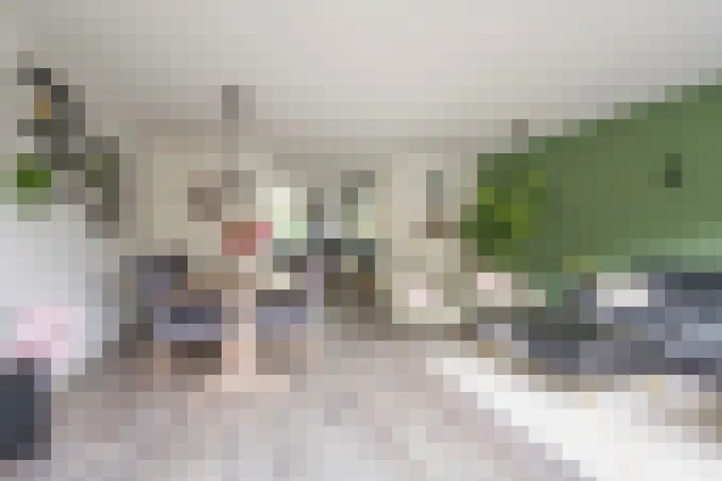 Duizendblad 3 Voorthuizen thumbnail 12