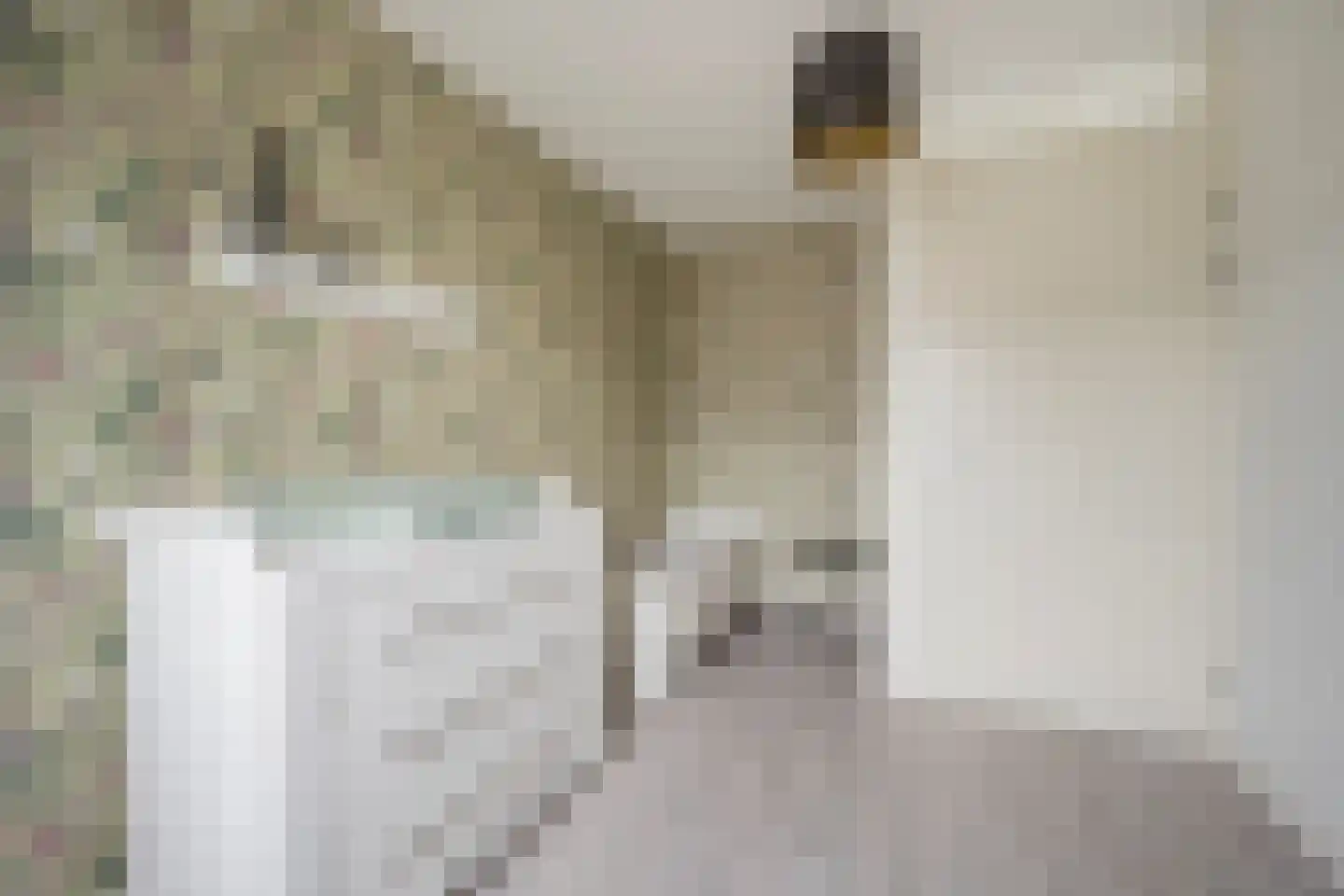 Duizendblad 3 Voorthuizen thumbnail 22