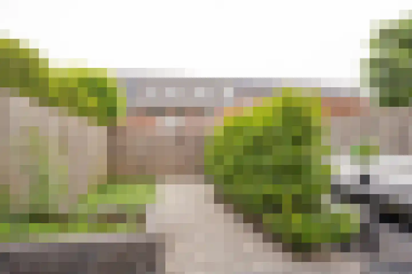 Duizendblad 3 Voorthuizen thumbnail 30