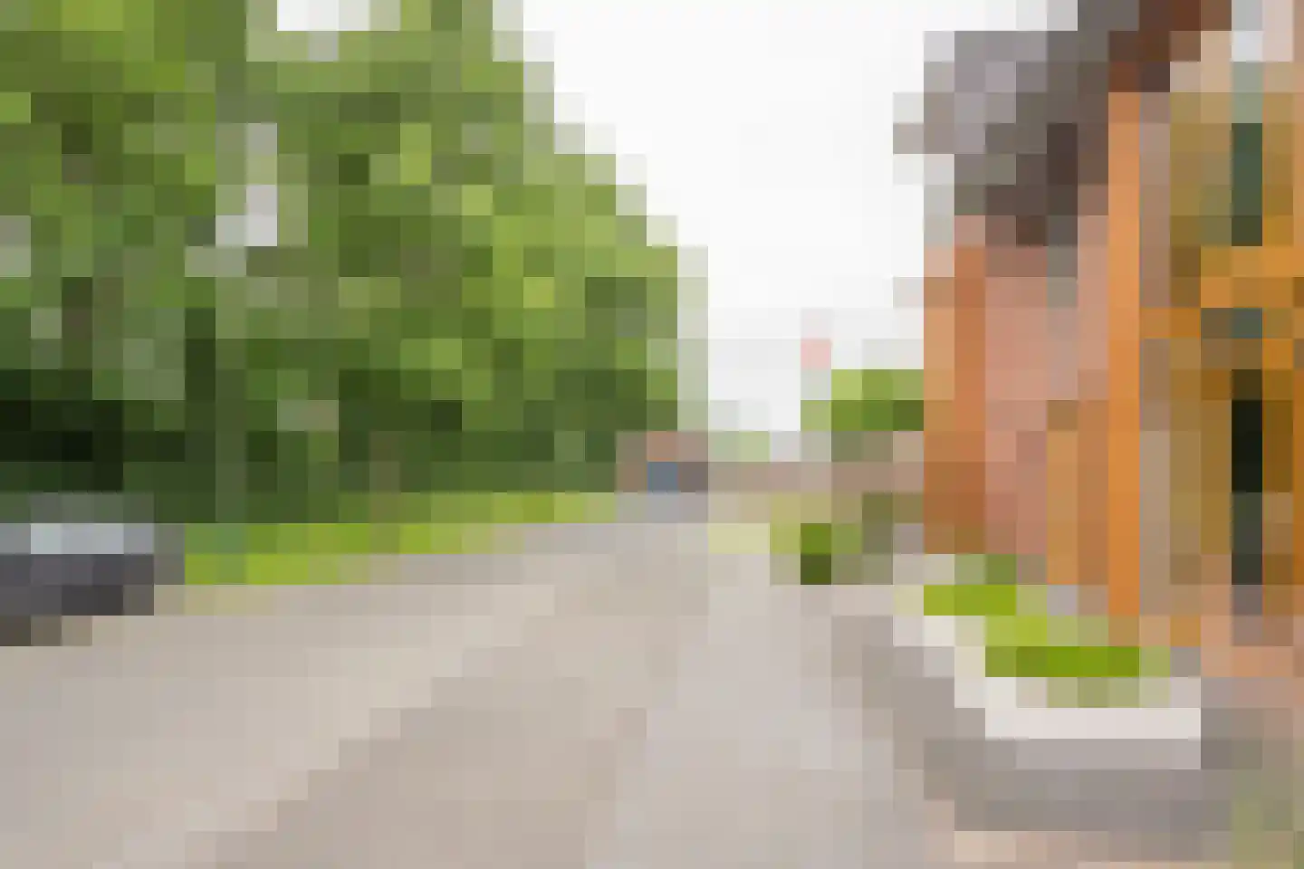 Duizendblad 3 Voorthuizen thumbnail 33