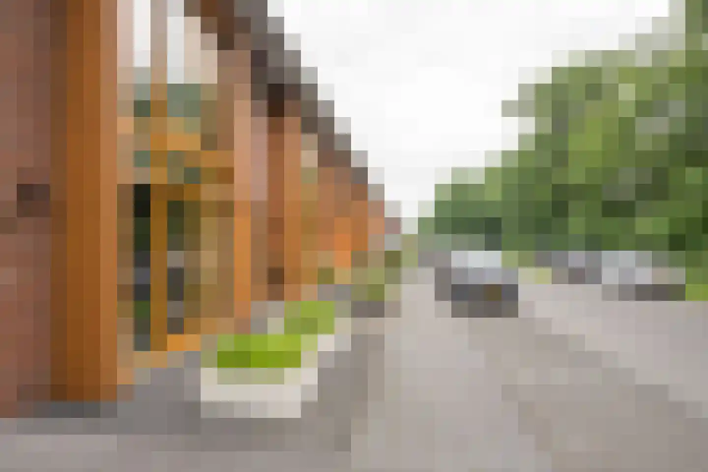 Duizendblad 3 Voorthuizen thumbnail 34