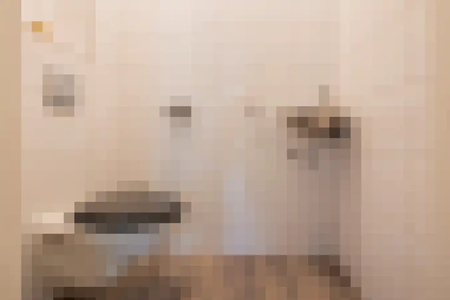 Duizendblad 3 Voorthuizen thumbnail 8