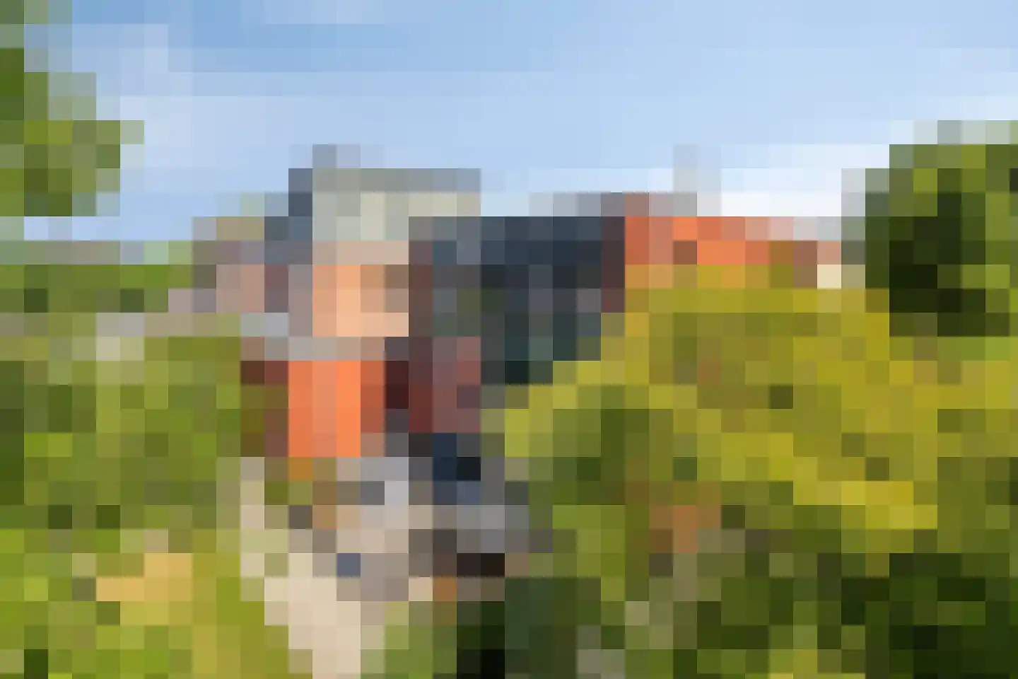Duizendblad 31 Boxmeer thumbnail 40