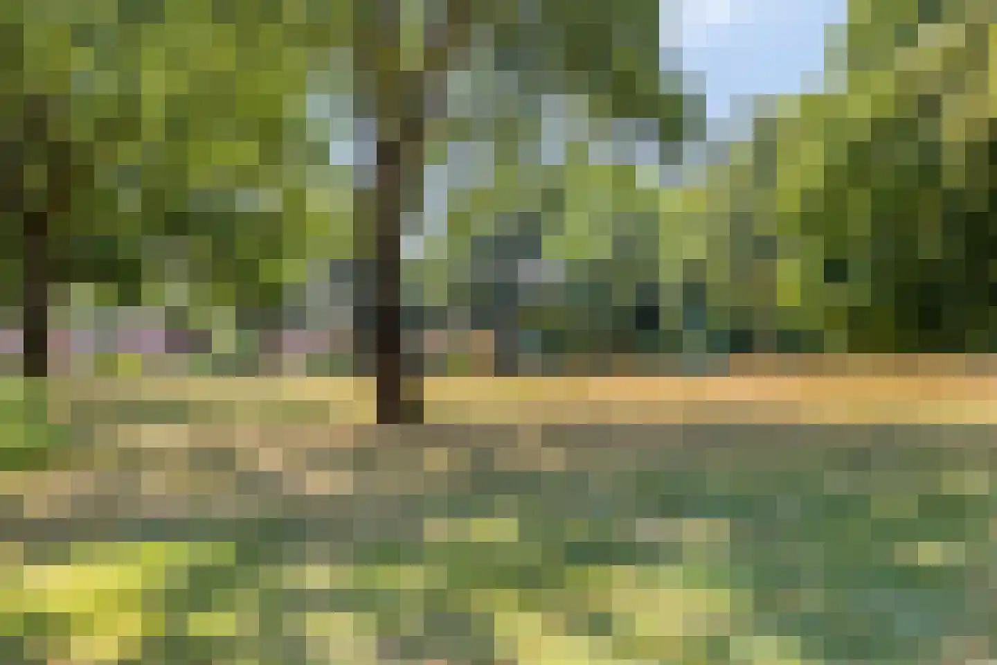 Duizendblad 31 Boxmeer thumbnail 47