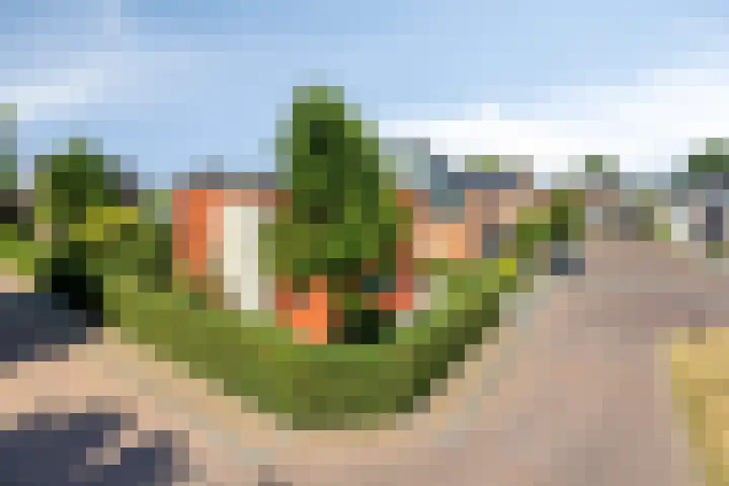 Duizendblad 31 Boxmeer thumbnail 6