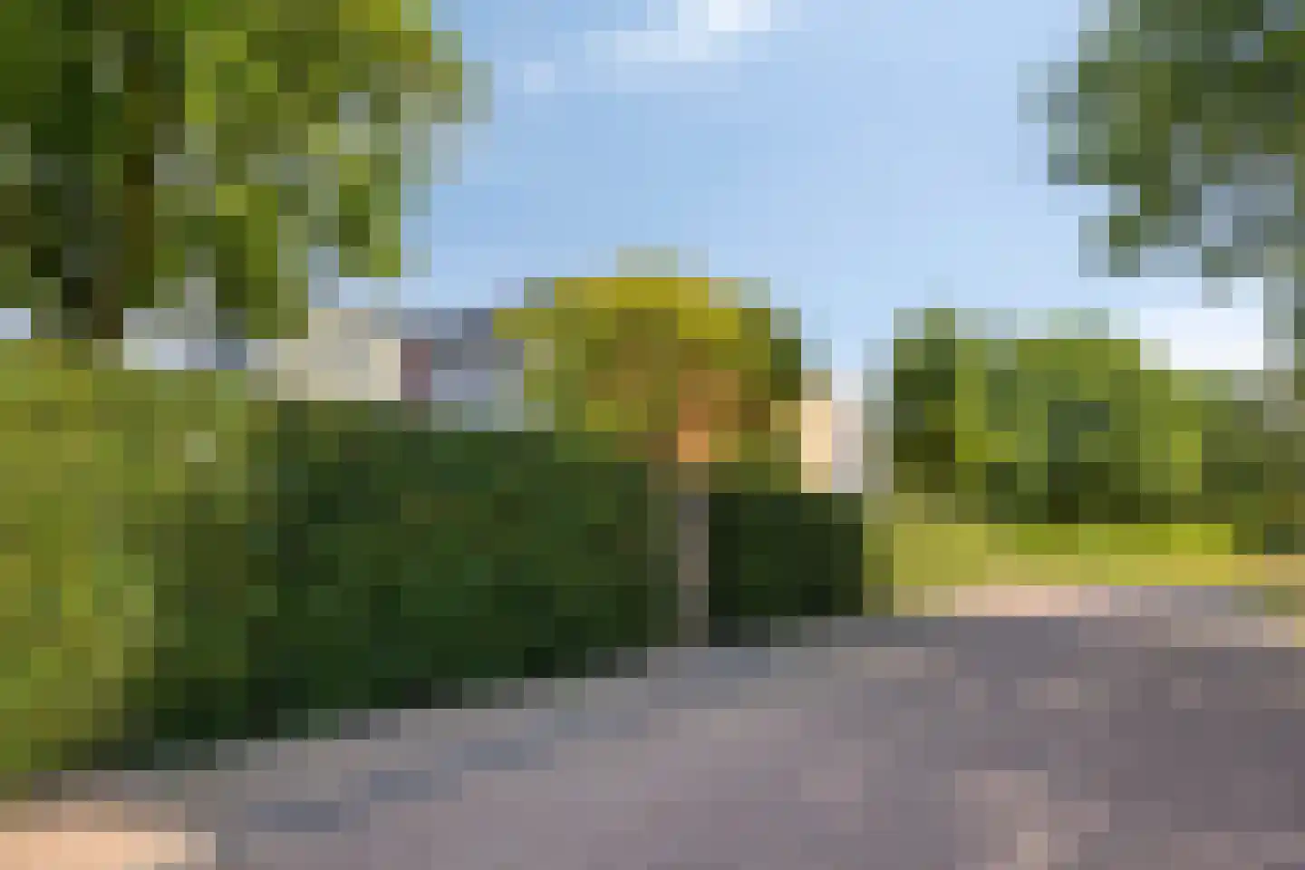 Duizendblad 31 Boxmeer thumbnail 8