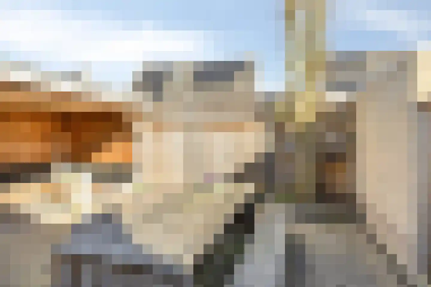 Duizendblad 4 Haaksbergen thumbnail 18